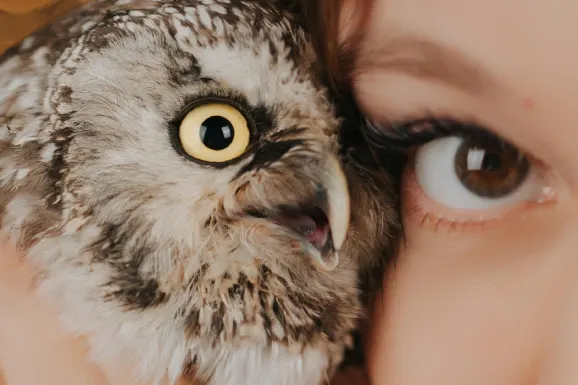 Kasino Lucky Tiger Podpora